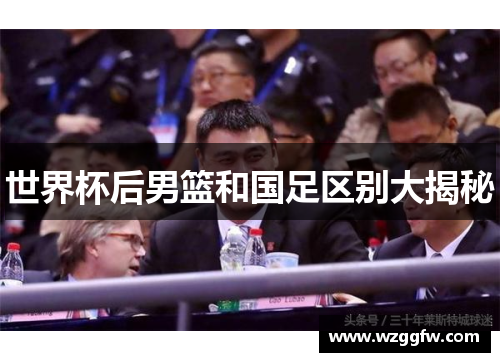 世界杯后男篮和国足区别大揭秘